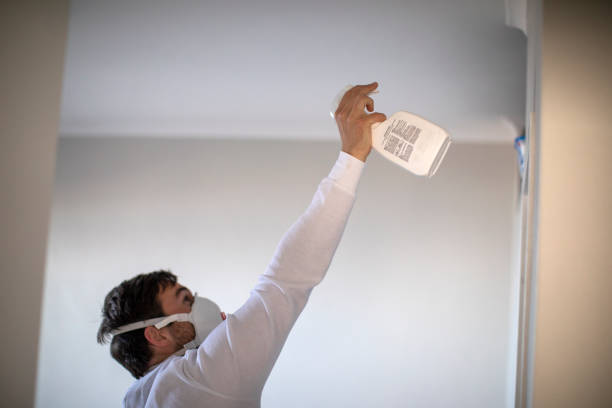 Professional Mold Remediation in Mccullom Lake, IL