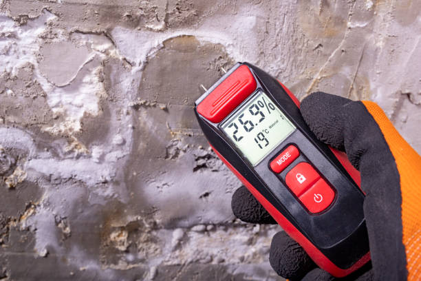 Best Localized Mold Remediation (e.g., coastal areas, humid climates) in Mccullom Lake, IL